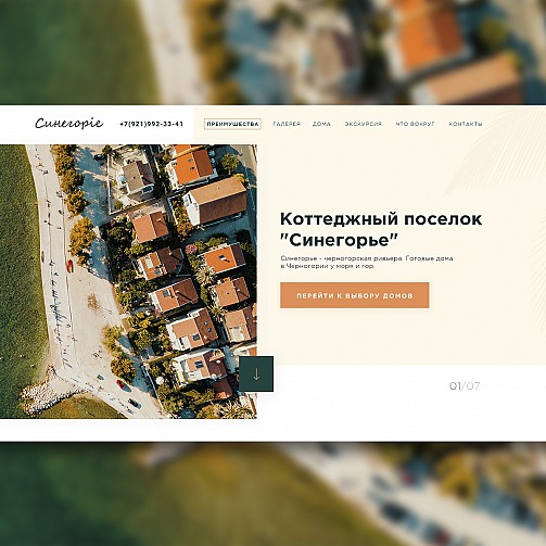 Разработка сайта и маркетинг для коттеджного посёлка «Синегорье».